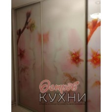 Шкаф купе фотопечать SHKV 1620